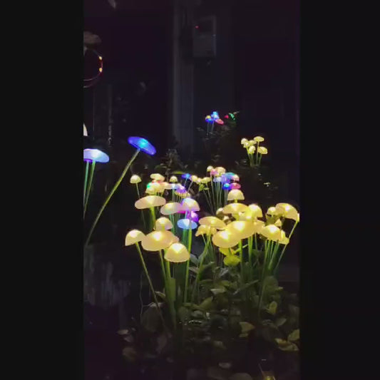 Solar LED Mushroom Lights